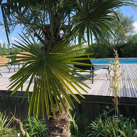 Domaine En Castanet *
